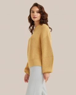 Expert Group Limited Denise Cotton Relaxed Cropped Crew Neck Sweater